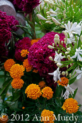 Floral display on grave