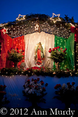 Guadalupe with stars and roses