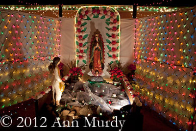 Guadalupe altar with lights
