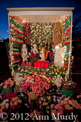 Guadalupe altar with roses and angels