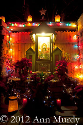 Guadalupe Altar with Christmas Star
