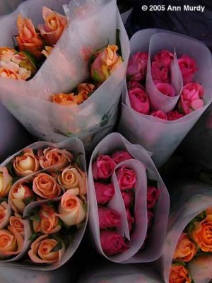 Bunches of Roses