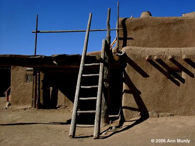 Ladder and viga  - Taos