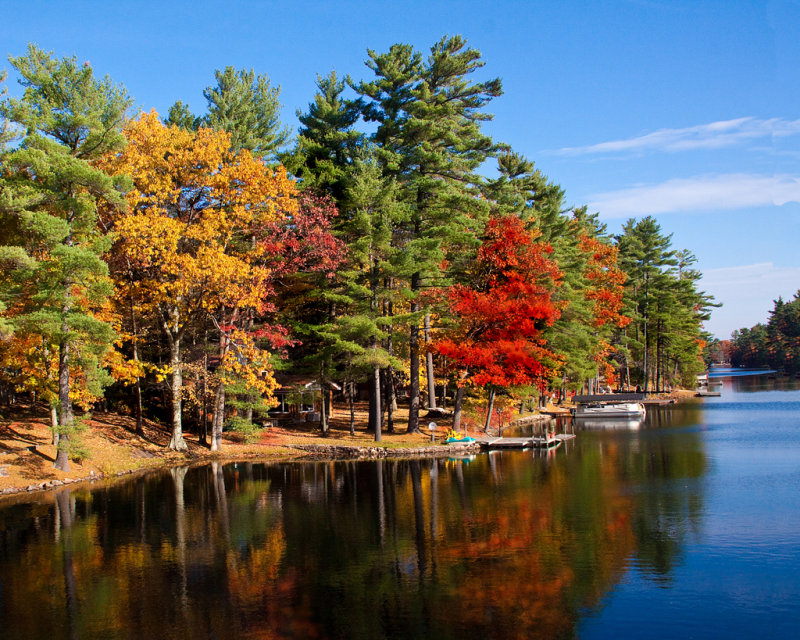 Washago Autum