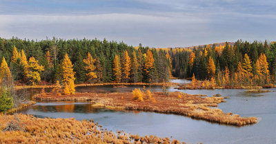 Northern Wetland