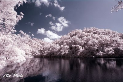 DSC_5444.jpg