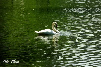 DSC_6057.jpg