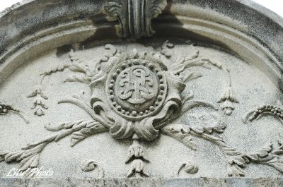 DSC_6101.jpg