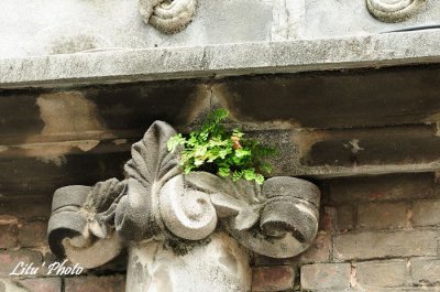 DSC_6114.jpg