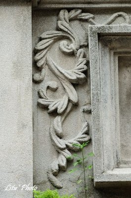 DSC_6130.jpg