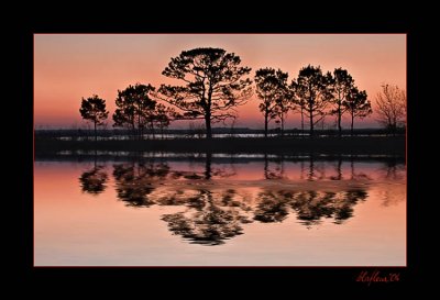 Lacasine Pool Wildlife Reserve
