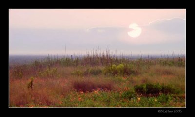 Galveston Island