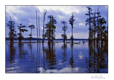 Lake Martin 4