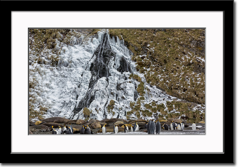 Frozen Waterfall