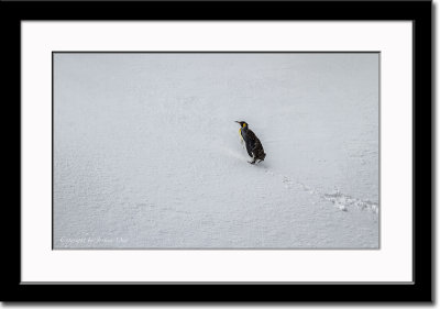 Alone on Snowy Slope