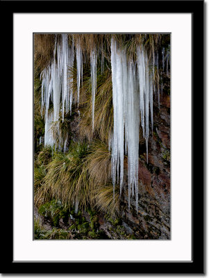 Icicles on Grass