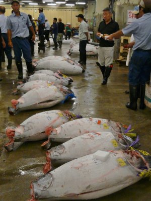 Tsukiji Market