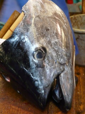 Fish head