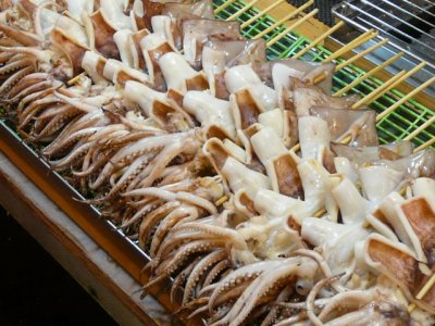 Squid on a stick