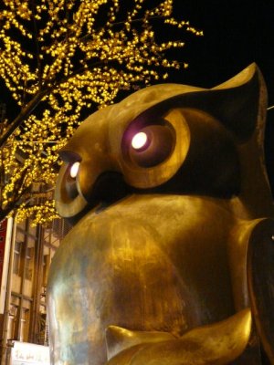 Sentinel Owl
