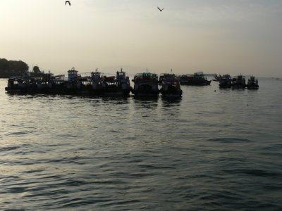 Fishing boats at dawn