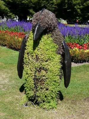 Horticultural penguin