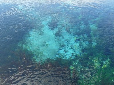The largest freshwater springs in Australasia