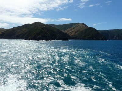Farewell to the South Island