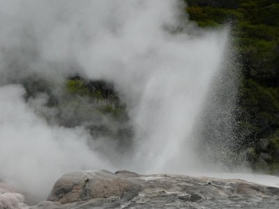 Rotorua Geyser