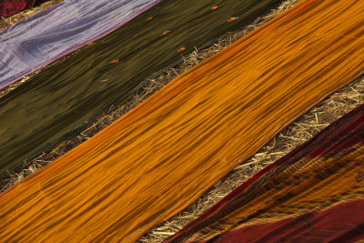 Drying sarees 3.jpg