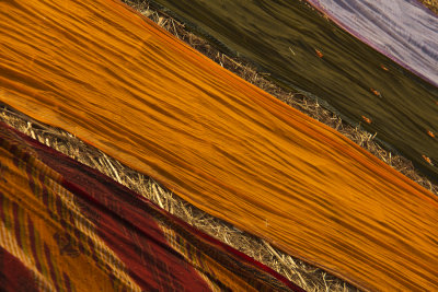 Drying sarees 4.jpg