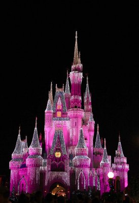 Pink Castle