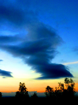 CloudShoe.jpg
