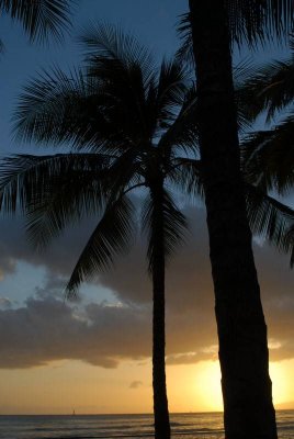 waikiki beach