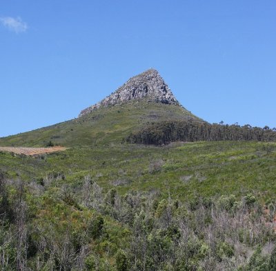 IMG_8751.jpg