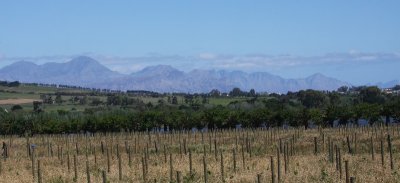 IMG_8972.jpg