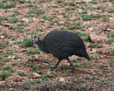 IMG_4857.jpg