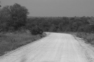 IMG_5146.jpg