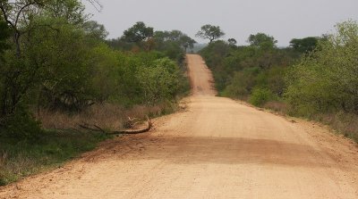 IMG_5231.jpg