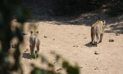 IMG_5532.jpg