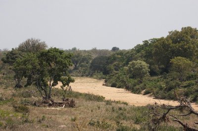 IMG_5558.jpg