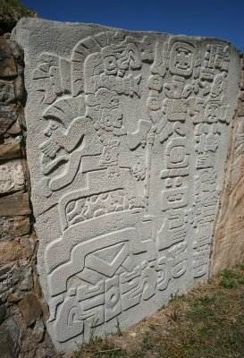 IMG_1175.jpg