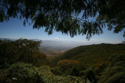 IMG_1183.jpg