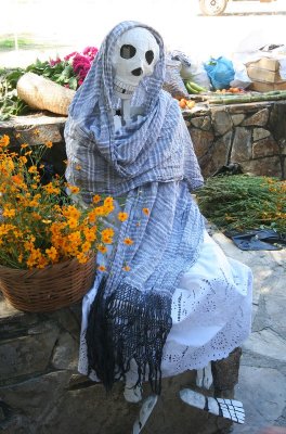 IMG_1206.jpg