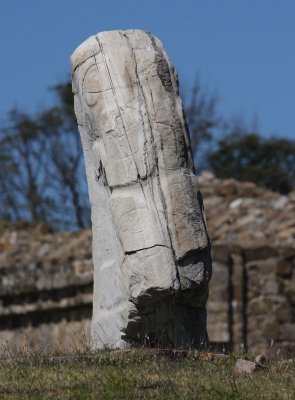 IMG_8487.jpg
