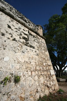 IMG_1963.jpg