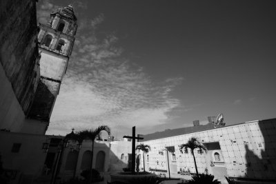 IMG_2055.jpg