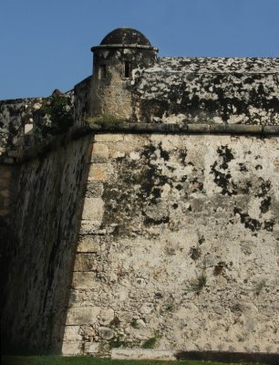 IMG_9480.jpg