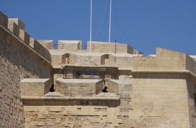 IMG_1171.jpg