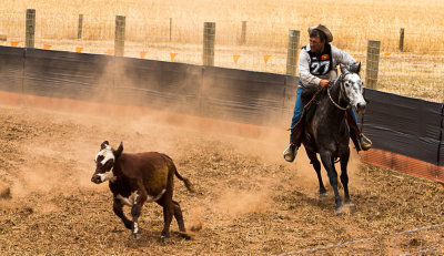 Lower Lakes Stockman Challange